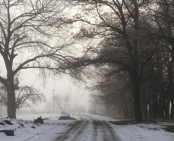 A snowy lane in Genoa fades into the fog on Sunday morning.