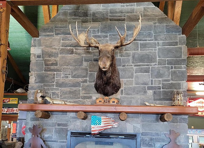 The moose hangs at the Johnson Lane General Store.