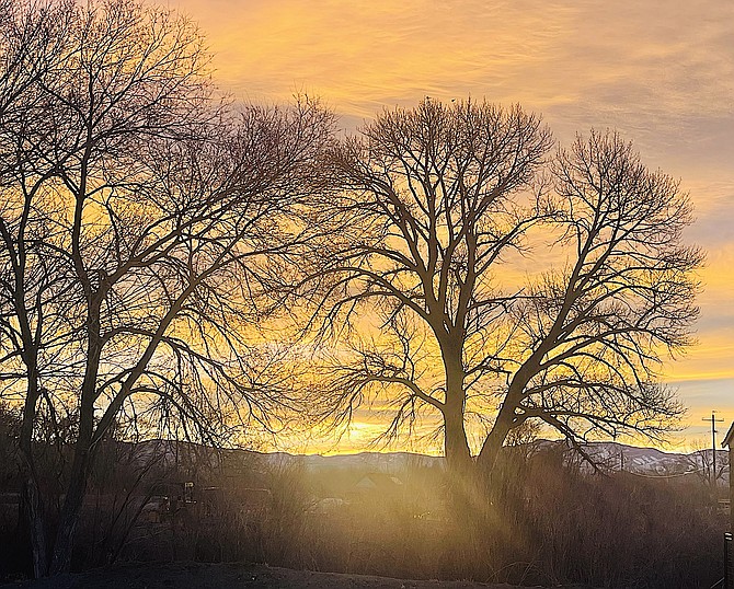 Sunday's sunrise took on a golden glow in this photo from Genoa resident Ed Addeo.