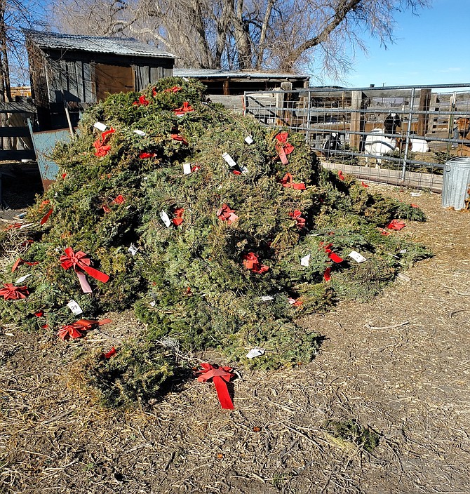 For the third consecutive year, the High Desert Grange helps gather wreaths at the Northern Nevada Veterans Memorial Cemetery for goats and sheep.