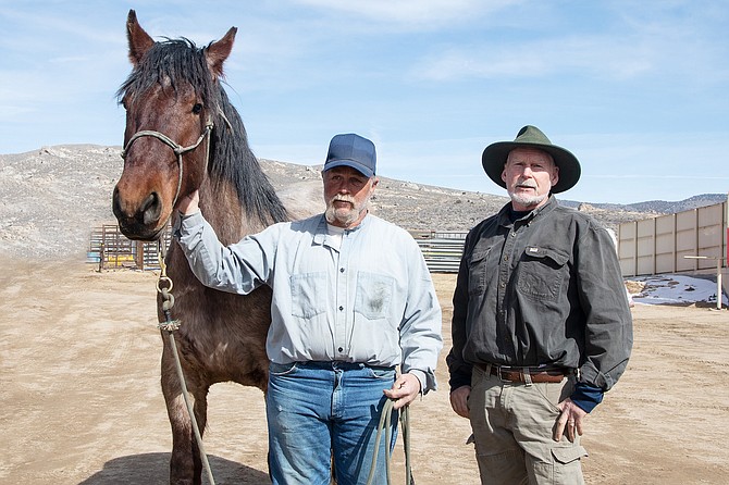 Big Red was the horse of the day at the Feb. 26 auction conducted at Northern Nevada Correctional Center.