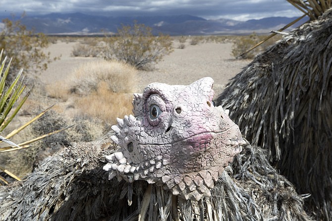 An iguana mask is shown on a Yucca plant near the Yellow Pine solar energy project east of Pahrump on Feb. 22.