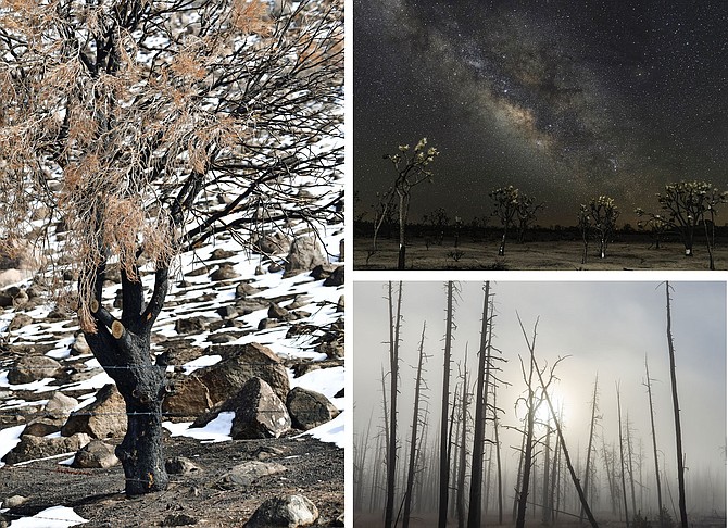 March photo contest winners, “Scorched” by Susan Roadlson took first place at left. Top right “Desolate Planet” by Dave Morgan won second place; At right, “Death in the Mist” by Morgan won third place.