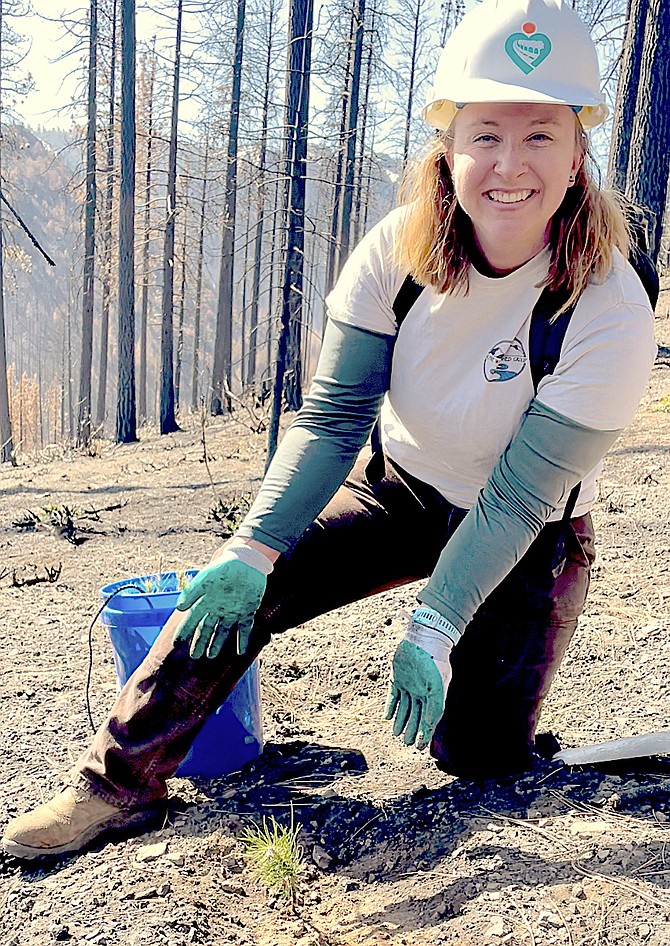 Alpine Watershed Coordinator Rachel Kiefer with one of the 2,000 donated seedlings volunteers are planting in the Tamarack Burn scar.