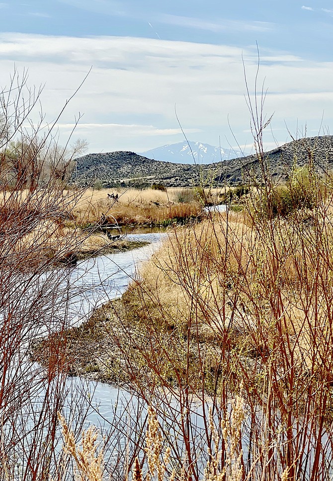 The West Fork of the Walker River passes through Mono, Douglas and Lyon counties.