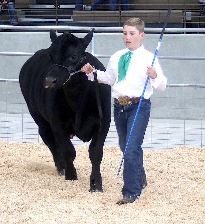 Clayton Hiibel from 4-H shows his steer.