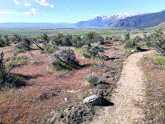 The newly constructed six-mile Jacks Valley Loop has features views of Carson Valley.
