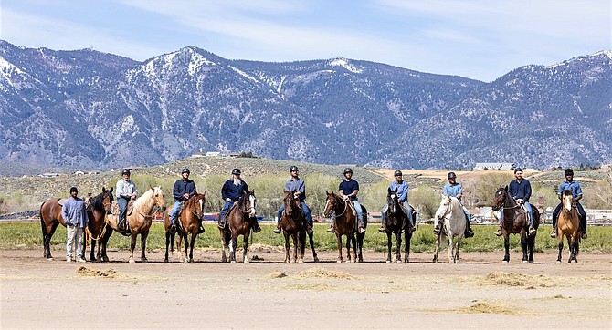 Group photo of the wild horses offered at a previous NNCC adoption event.