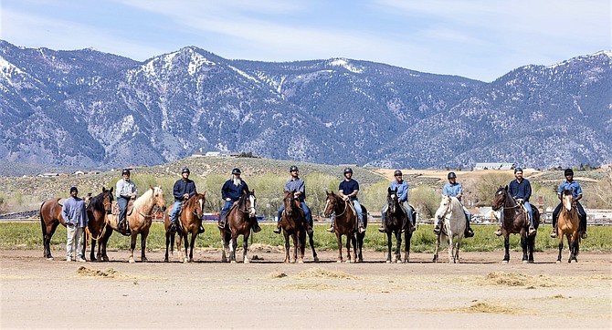 Inmate trained horses will be available for auction on June 11 at Northern Nevada Correctional Center.