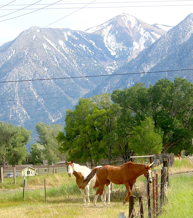 Jobs Peak rises above the horses in the pasture below Van Sickle Station.