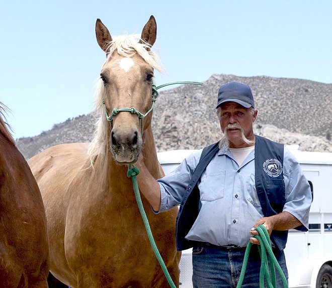 One of three horses were adopted by California Polytechnic State University, where the school mascot is the “Mustangs.”
