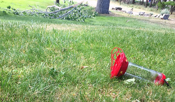 The wind on Thursday knocked down a hummingbird feeder and a tree branch north of Genoa.