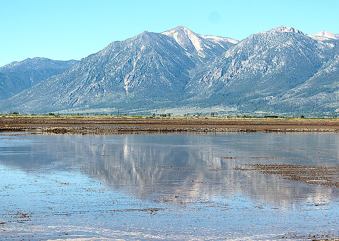 Jobs Peak is reflected in a field flooded south of Genoa Lane and Highway 395 on Tuesday morning.