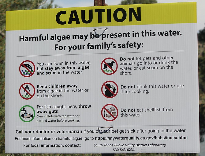 Signs have been posted around Indian Creek Reservoir to warn visitors of toxins produced by blue-green algae.