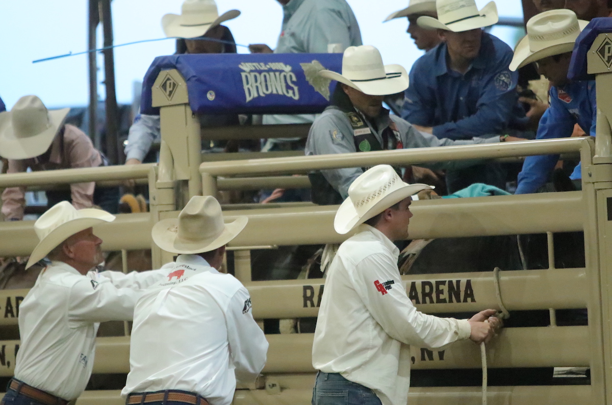 BattleBorn Broncs, Reno Rodeo results Serving Carson City for over