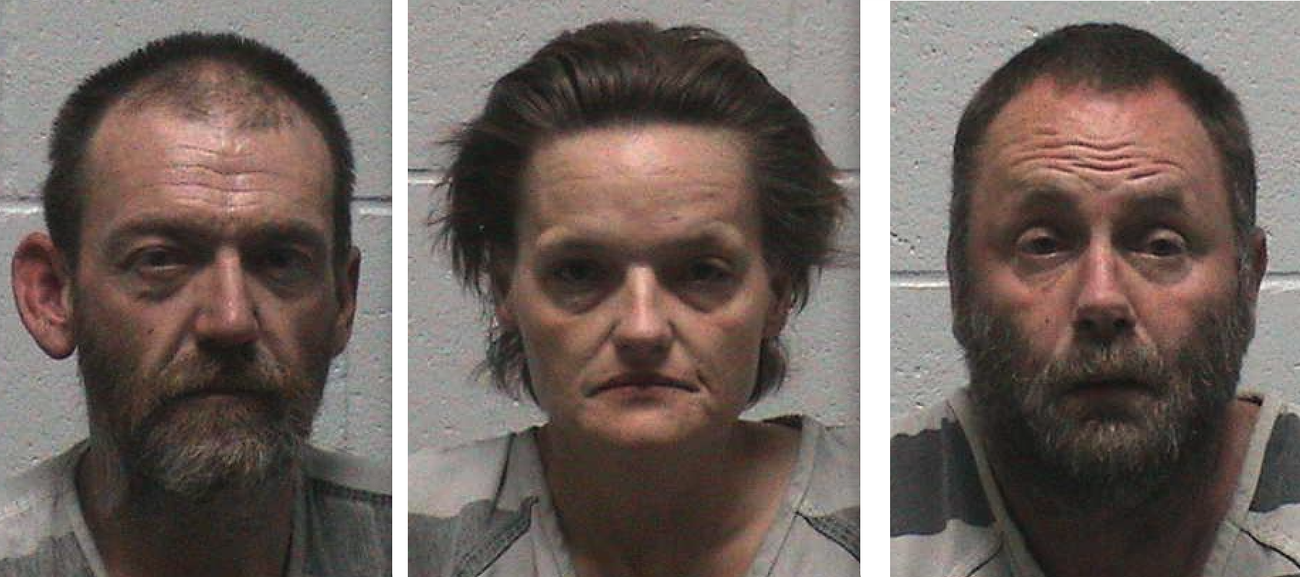 Lyon County busts 3 on drug, child endangerment charges