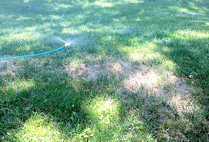 Sometimes the cure for a dry spot in the lawn is as simple as the application of a little water.