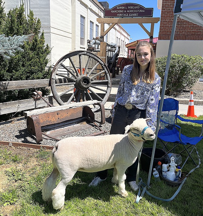 Gardnerville resident and 4-H Carson Valley Shepherd Kahlea Hulsey attended Ag Day at the Carson Valley Museum & Cultural Center with Mae the sheep. Kahlea has been a fixture walking Mae down Main Street. Photo by Frank Dressel