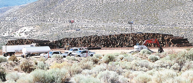 Logs are arranged on a site behind Carson Valley Plaza in northern Douglas County.