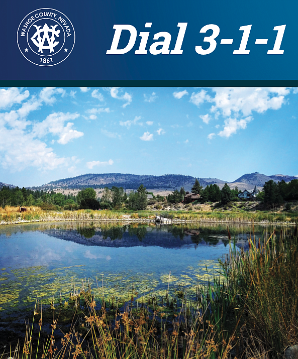 3-1-1 is an easy-to-remember telephone number that connects citizens with knowledgeable customer service representatives ready to help with non-emergency government matters.