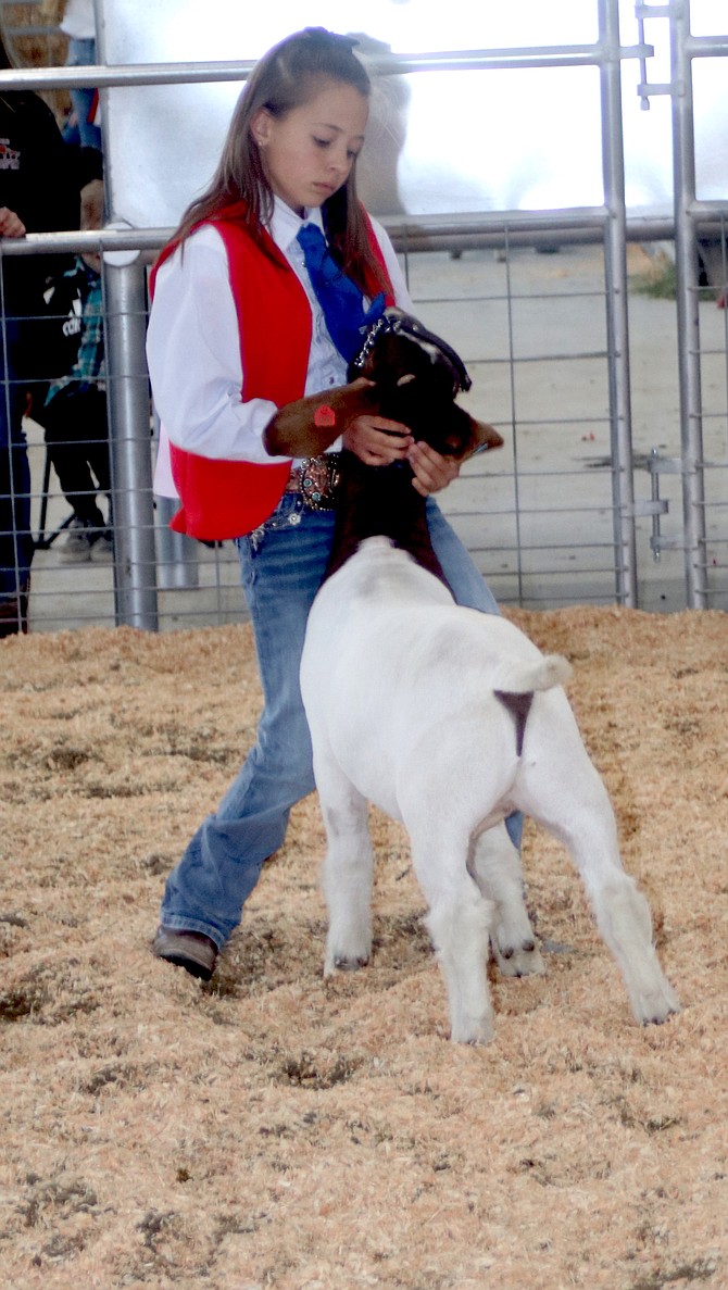 Chloe Kent was one of many High Desert Grange exhibitors at April’s annual Churchill County Junior Livestock Show.