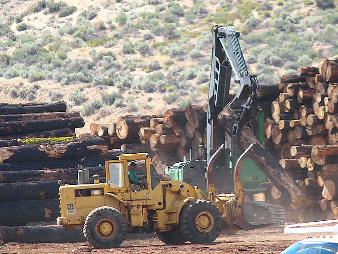 Workers pile up logs burned in the Caldor Fire at a site leased from the Washoe Tribe on Aug. 3.