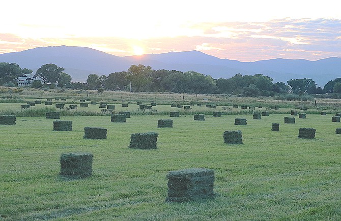 Bales of hay greet the dawn on Monday just below Genoa.