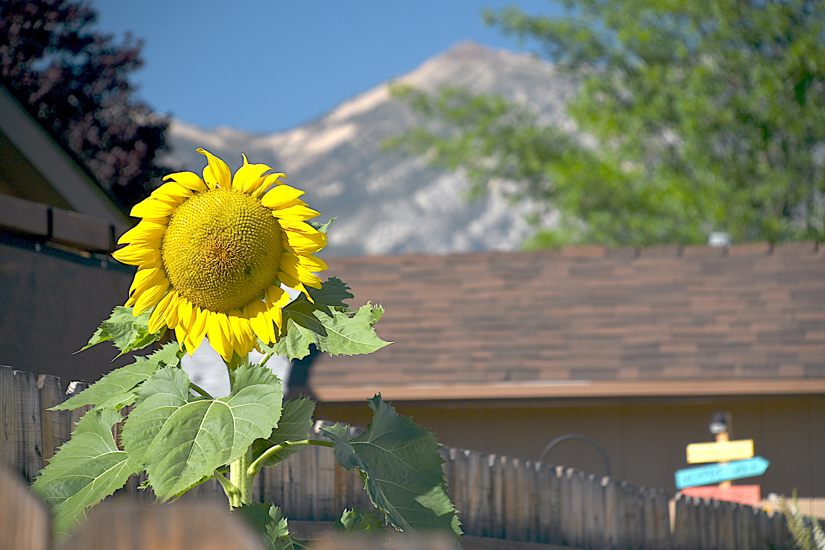 Wrapping up a year of weather extremes Serving MindenGardnerville