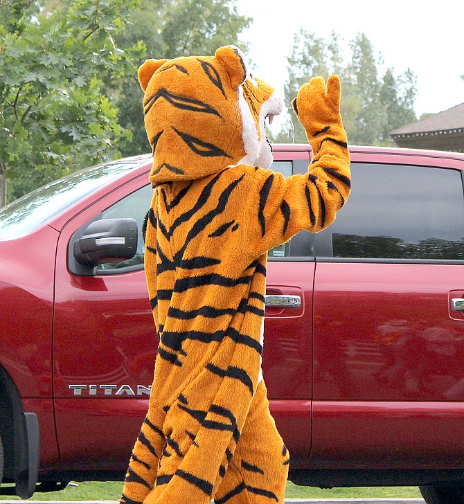 Emotional support tiger Mr. Bo Jangles will be out a lot for Douglas High School's Homecoming celebration.