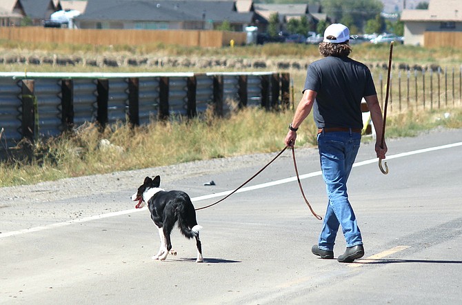 A sheepdog and handler cross Buckeye Road on Thursday. The National Sheepdog Finals are underway in Carson Valley this weekend.