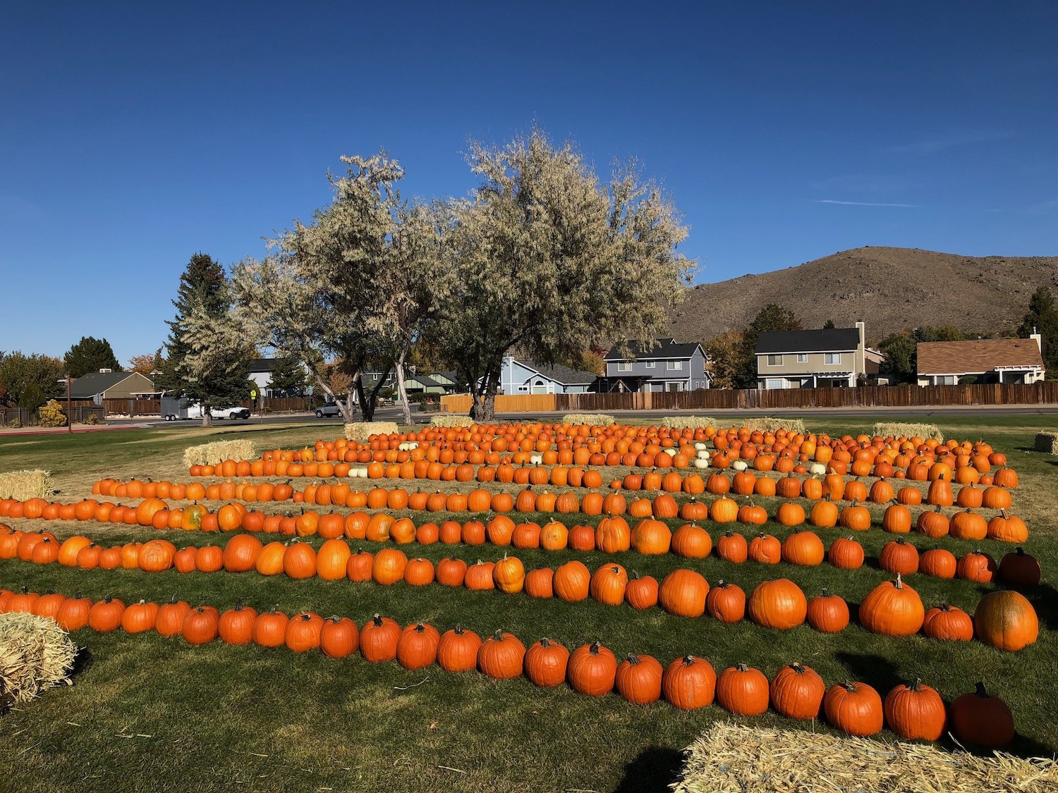 Carson City school’s ‘Pumpkin Patch’ on Oct. 15 Serving Carson City