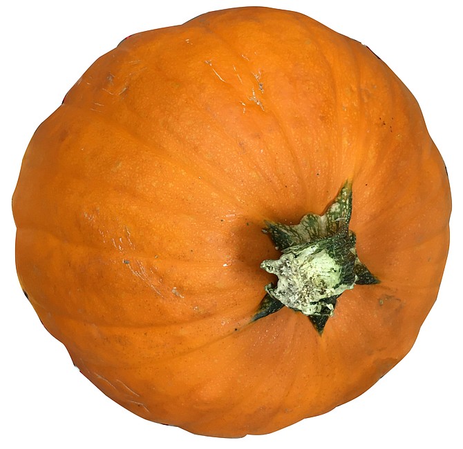 Pumpkin Bingo is back on Oct. 15