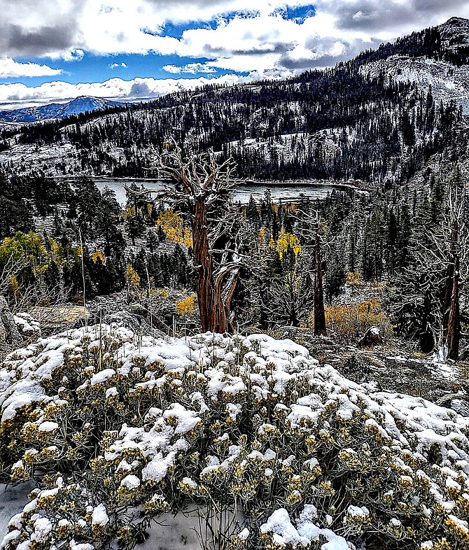 Carson Pass saw a dusting of snow at 8,000 feet. Photo special to The R-C by Ellie Waller