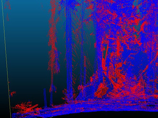 Ladder fuel loss from the 96,000-acre Ferguson Fire in the Sierra Nevada in 2018 is captured with LiDAR. Red indicates biomass that was consumed in the fire, blue indicates biomass that survived the fire.