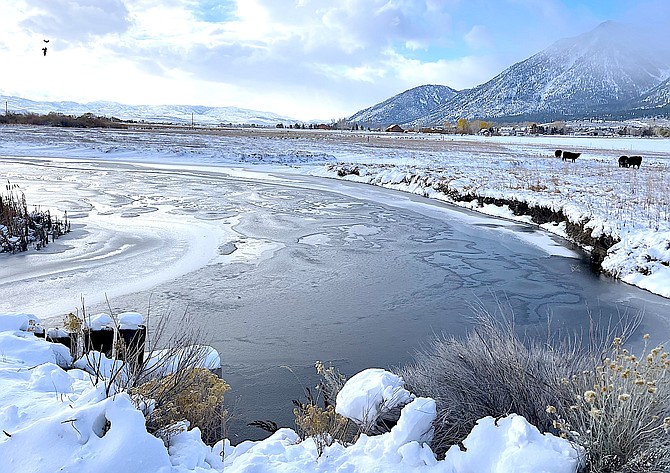Ice flows drift down the Carson River in this photo by Margaret McKean.