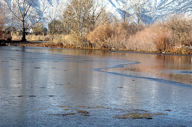 A thin layer of ice forms on the ponds at Jake's Wetlands in Minden. It will require a lot more cold weather before any ice is safe to walk on.