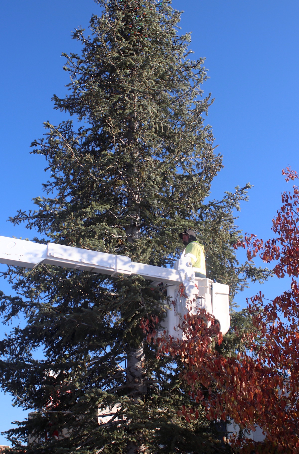 Tree lighting kicks off the holidays Serving Carson City for over 150