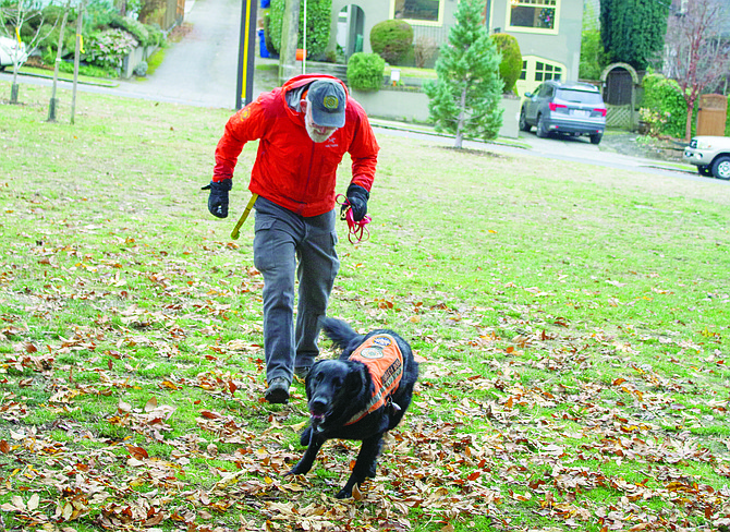 Queen Anne resident Jon Izant secures a King County Search Dogs vest on his 5-year-old flat-coated retriever, Lincoln, for a quick training exercise last week. When Lincoln hears the bells on his harness jingle, he knows it is time to go to work doing air scent search and rescue work.