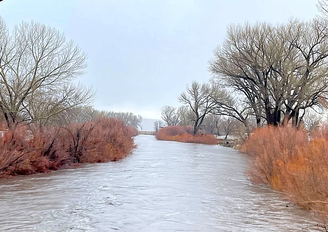 The Carson River is creeping up toward Willow Bend as it rises from rain and snowmelt. Tara Addeo photo