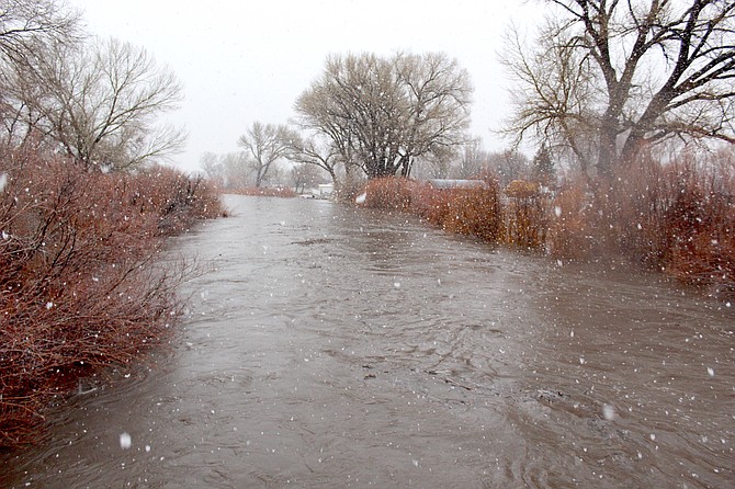 The Carson River is up to its banks just upstream of Genoa Lane at around 10 a.m. Saturday as snow starts to fall.