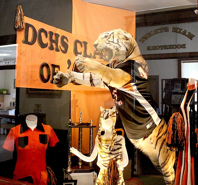 The Douglas County High School display in the Carson Valley Museum & Cultural Center features Red Swift’s tiger.