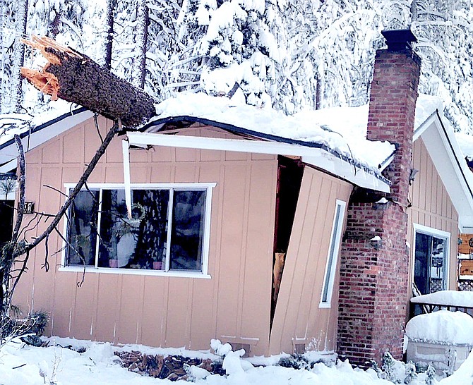 A pine tree crushed a home in Stateline on Dec. 12, 2022, killing the resident. Douglas County Sheriff's Office photo