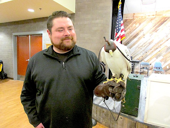 Ryan Moglich shows off Arthur, a Gyrfalcon at the Eagles and Agriculture Reception on Thursday.