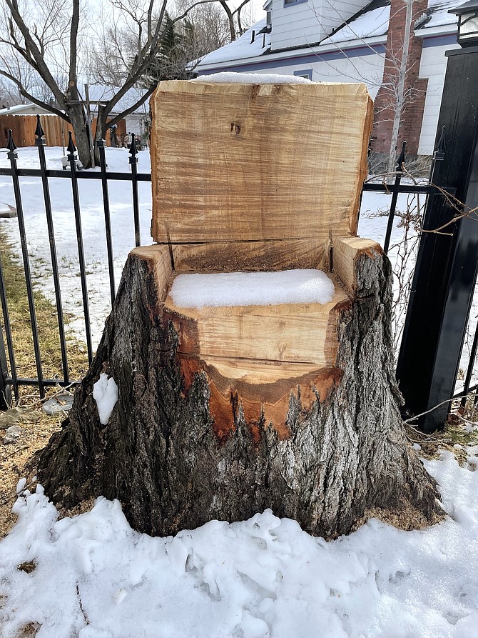 The ‘tree chair’ Doreen Mack had made from a wayward cottonwood.