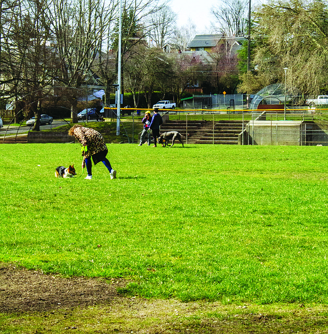 Residents let their dogs run free at the lower ballfield at Big Howe Park Friday in Queen Anne. Big Howe Park, or West Queen Anne Playfield, is one of four sites the city will consider as a possible location for a new off-leash dog area.