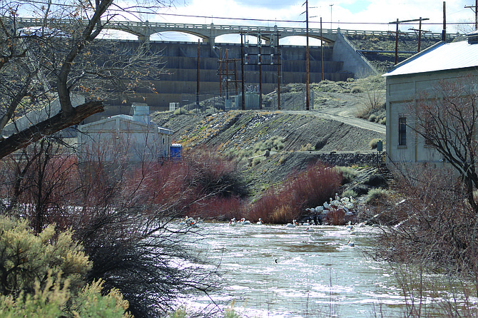 Water flows downstream this week in the Carson River from Lahontan Dam past the electrical power plant.