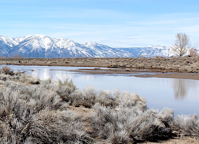Water from Pinenut Creek fills a basin south of East Valley Road in late March.