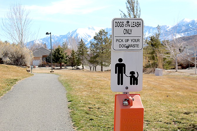 South Sunridge Park is dog friendly, but there's a move to build a dog park on a portion.