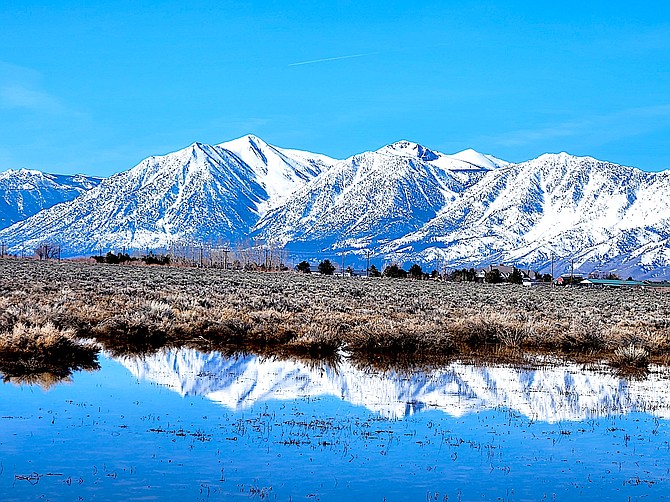The Carson Range is reflected in a pool of water off Stephanie Way in this photo by Cora Johnson.
