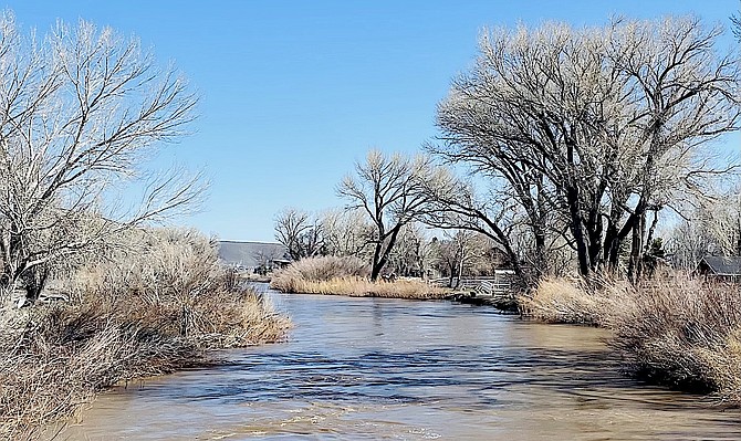 The Carson River downstream from Genoa Lane was at 12.2 feet on Wednesday in this photo taken by R-C Associate Publisher Tara Addeo.